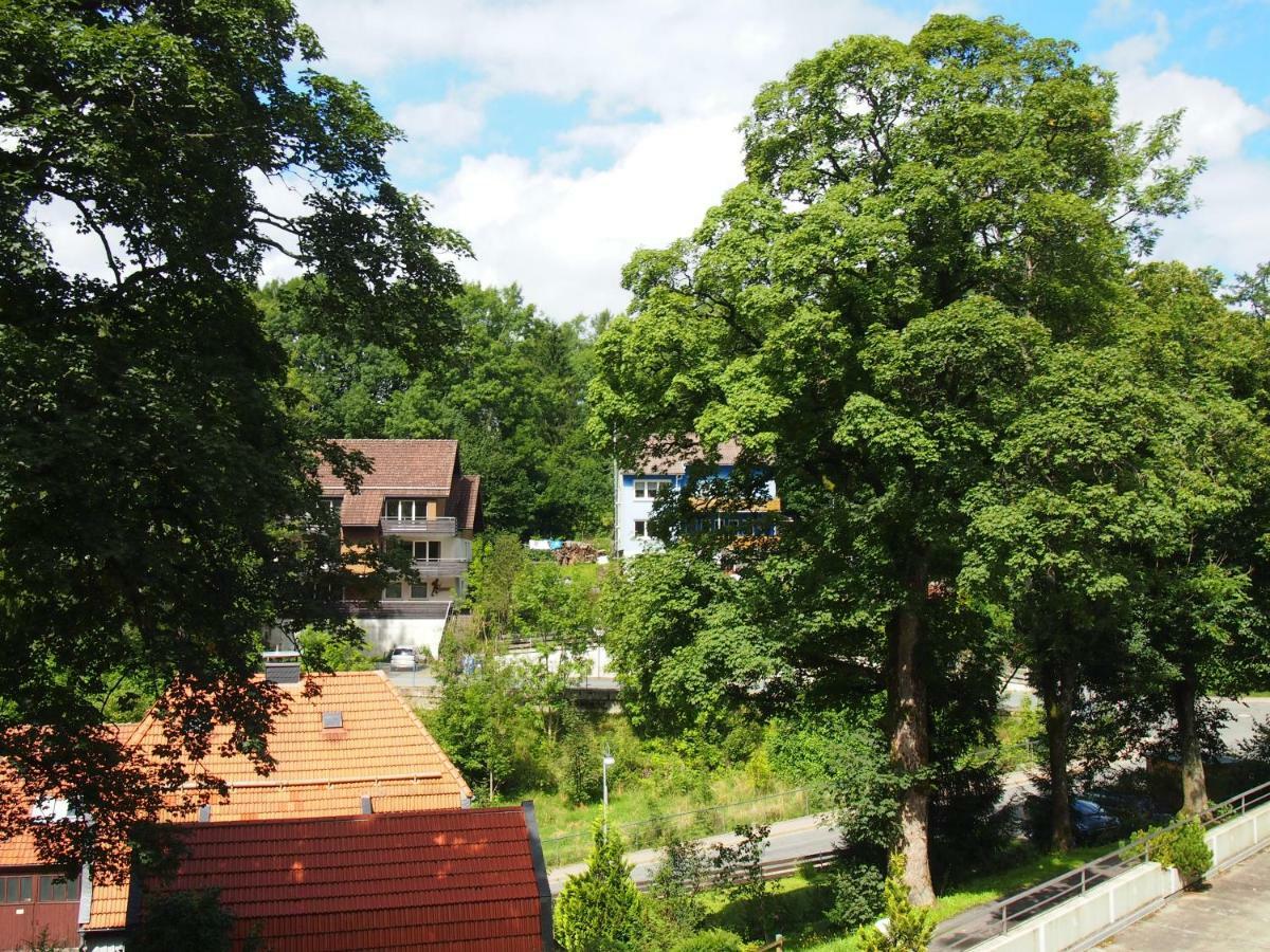 Apartment Harzgruen 2 Sankt Andreasberg Eksteriør billede